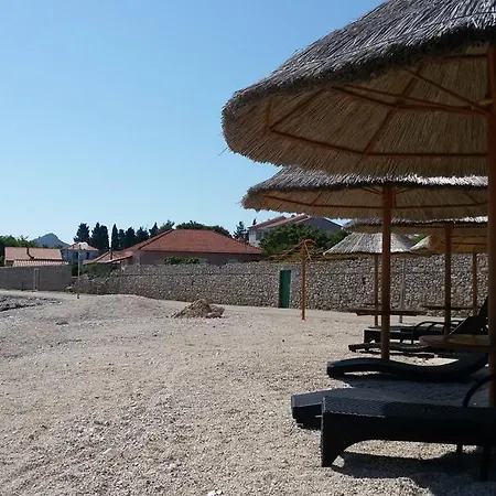 Elena Island Escape