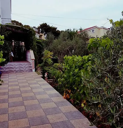 Elena Island Escape