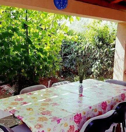 Elena Apartament