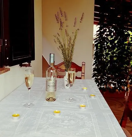 Elena ウグリャン