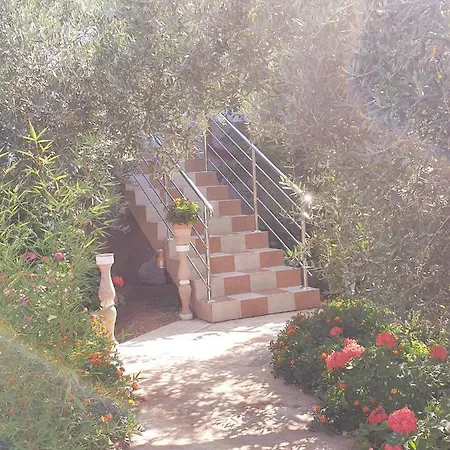 Elena ウグリャン