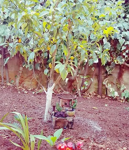 Апартаменты Elena