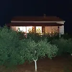 Elena *